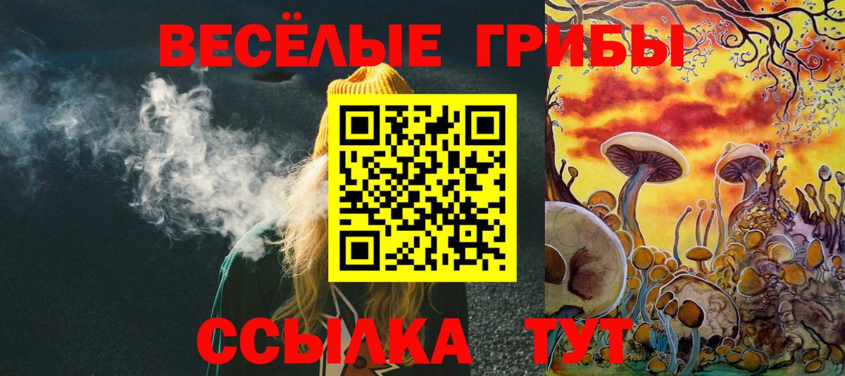 Псилоцибиновые грибы Psilocybine cubensis Щёлково