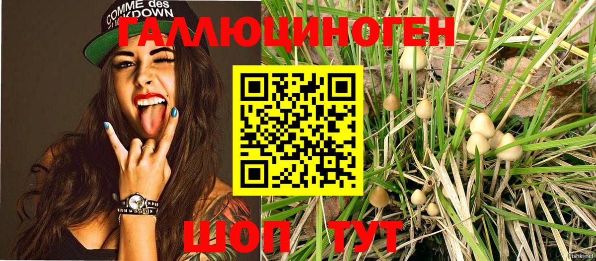 Галлюциногенные грибы MAGIC MUSHROOMS  Вход с VPN  Галлюциногенные грибы мухоморы  Щёлково 